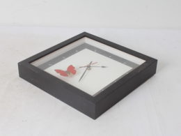 Horloge noire papillon Cymothoe sangaris