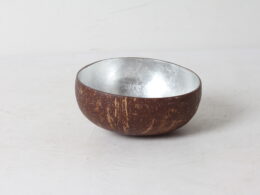 Bol noix de coco