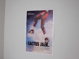 Toile Travis Scott x Nike – “Cactus Jack”
