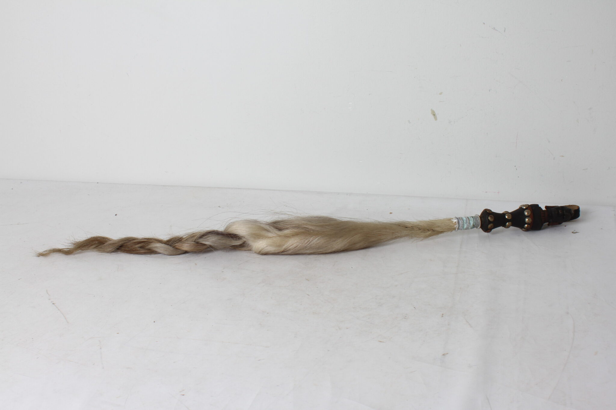 Chasse mouche africain – Image 2